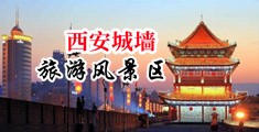 色老大深夜偷情内射中国陕西-西安城墙旅游风景区
